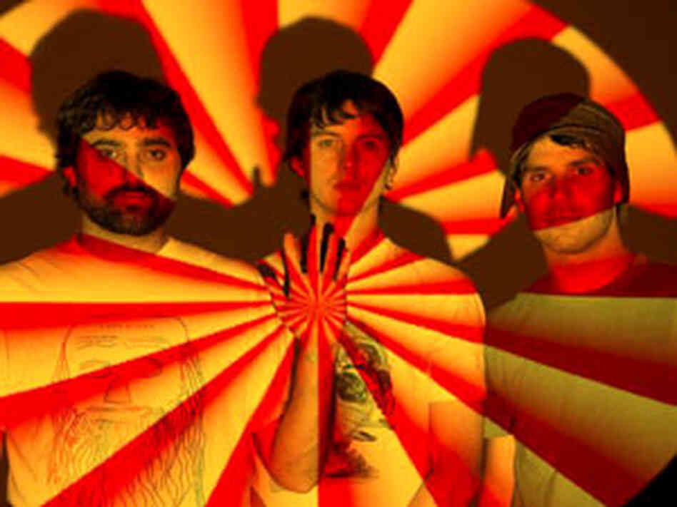 Animal Collective 300 Animal Collective 300