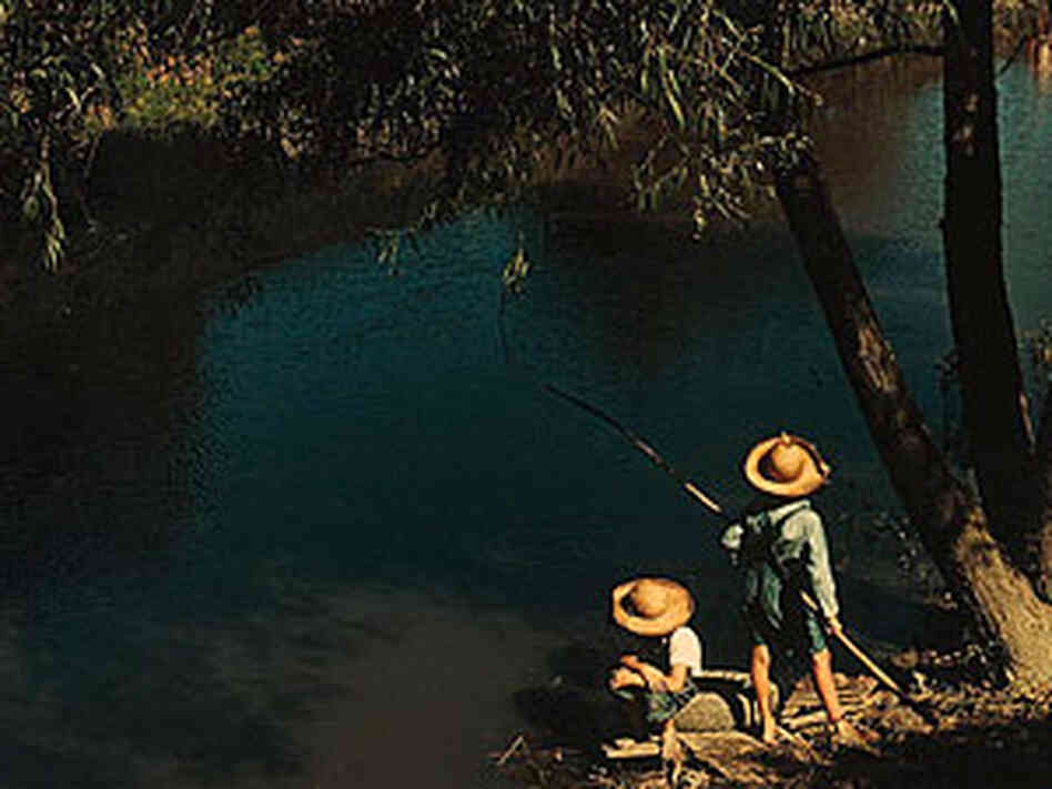 Boys Fishing Boys Fishing