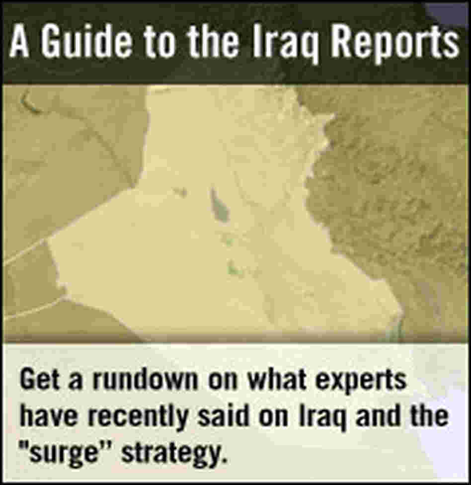Analysis: A Guide to the Iraq Reports Analysis: A Guide to the Iraq Reports