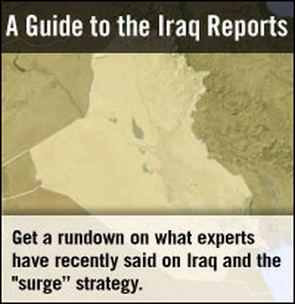 Analysis: A Guide to the Iraq Reports