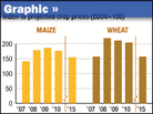 Graphic: World Food Prices Soar Graphic: World Food Prices Soar