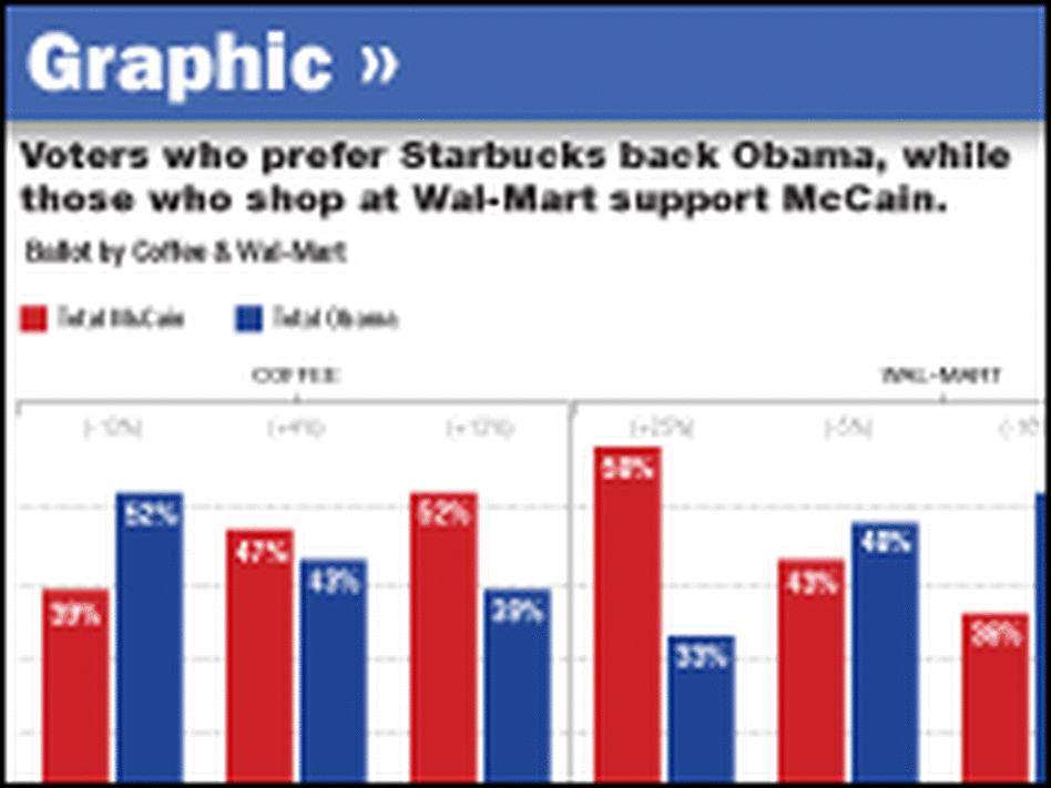 graphic comparing McCain and Obama voters