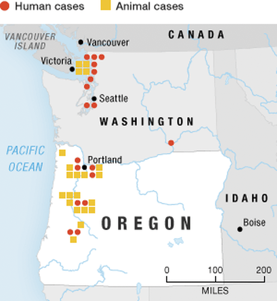 Map of outbreaks Map of outbreaks