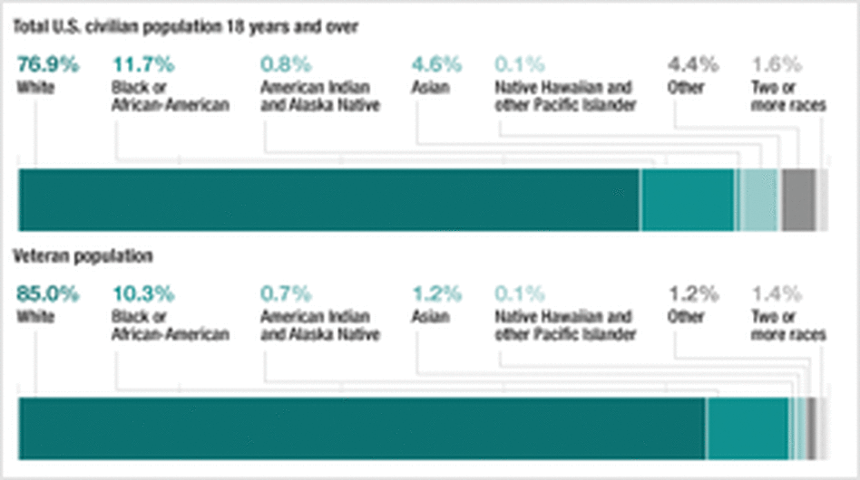 Graphic: A Snapshot Of The New Veteran