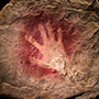 Smithsonian Human Origins Initiative