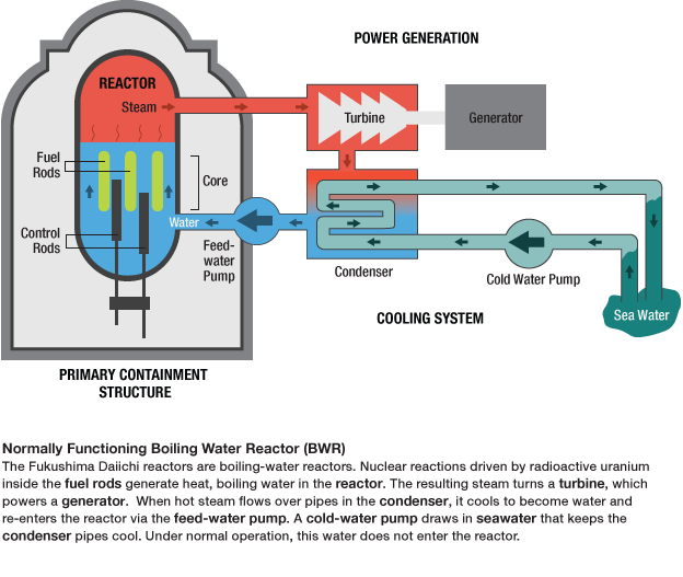[Interactive:Inside The  Nuclear Reactors]