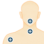 Interactive: The Anatomy of Human Tissue Profits Interactive: The Anatomy of Human Tissue Profits