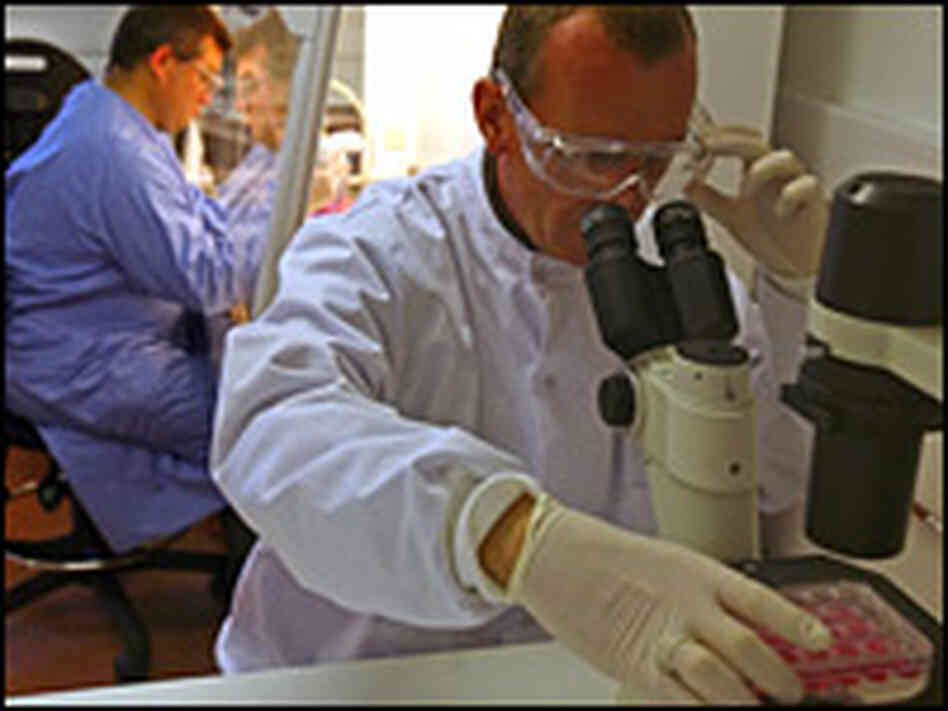 Vitrology Biotech scientists work on a vaccine for the new H1N1 virus. Vitrology Biotech scientists work on a vaccine for the new H1N1 virus.