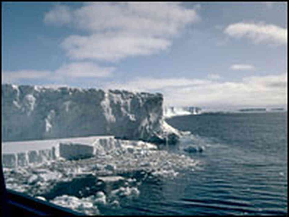 Part of the West Antarctic Ice Sheet.
