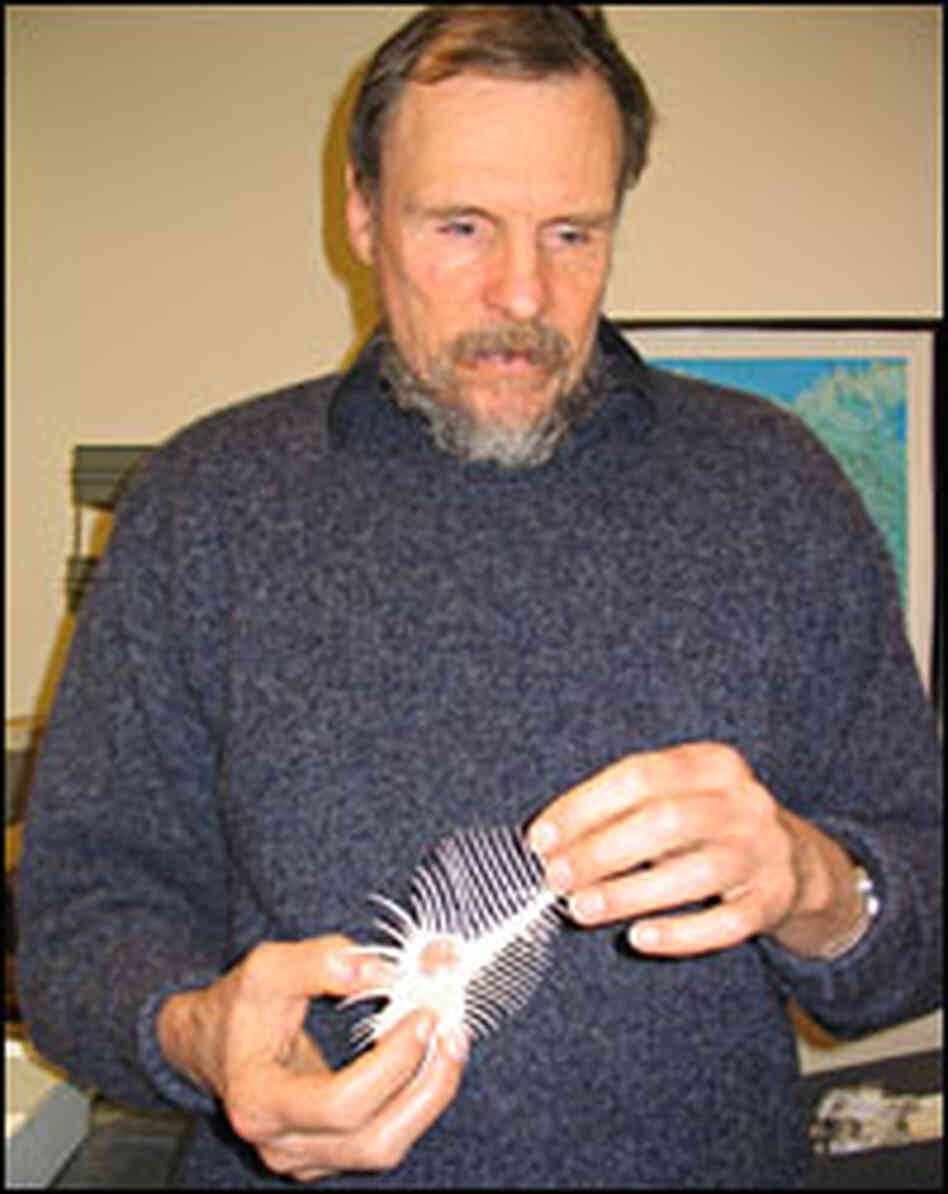 Gary Vermeij, a researcher at the University of California at Davis, thinks biological law applies t Gary Vermeij, a researcher at the University of California at Davis, thinks biological law applies t