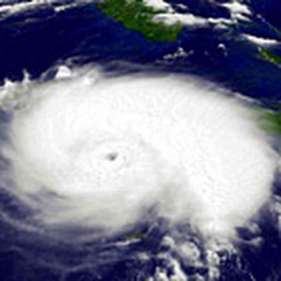 Hurricane Charley's Category 2 force has led to a state of emergency being declared. Credit: NOA Hurricane Charley's Category 2 force has led to a state of emergency being declared. Credit: NOA