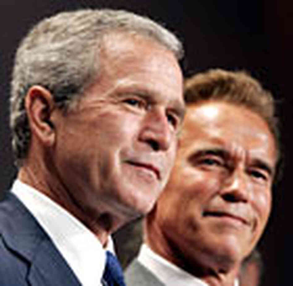 President Bush and California Gov. Arnold Schwarzenegger President Bush and California Gov. Arnold Schwarzenegger