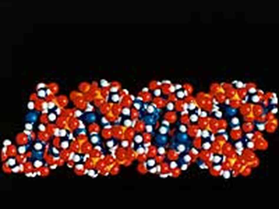 RNA molecule RNA molecule