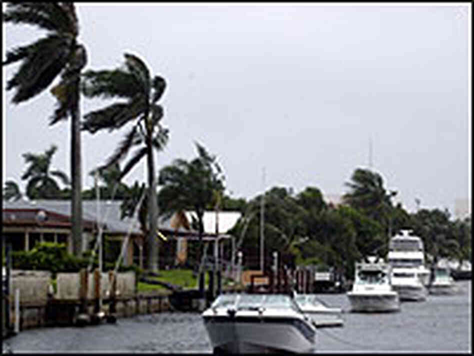 Boynton Beach feels early effects of Hurricane Frances Boynton Beach feels early effects of Hurricane Frances