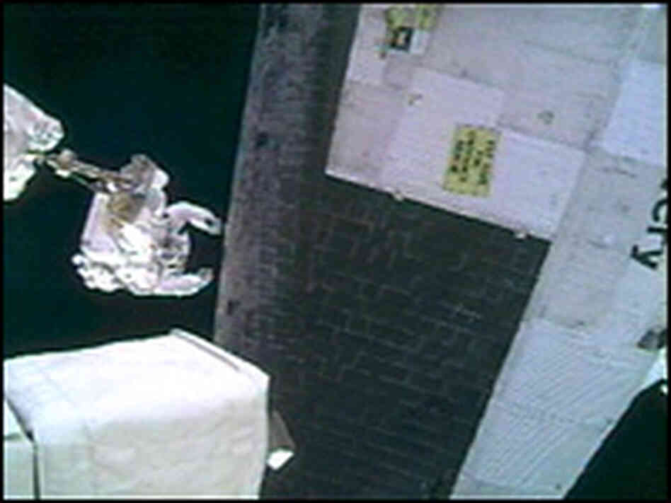 Astronaut Steve Robinson pulls gap fillers from between thermal tiles on the underside of Discovery. Astronaut Steve Robinson pulls gap fillers from between thermal tiles on the underside of Discovery.