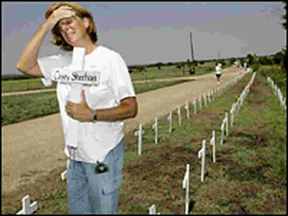 Cindy Sheehan of Vacaville, Calif., who lost her son, Army Spec. Casey Austin Sheehan. Cindy Sheehan of Vacaville, Calif., who lost her son, Army Spec. Casey Austin Sheehan.