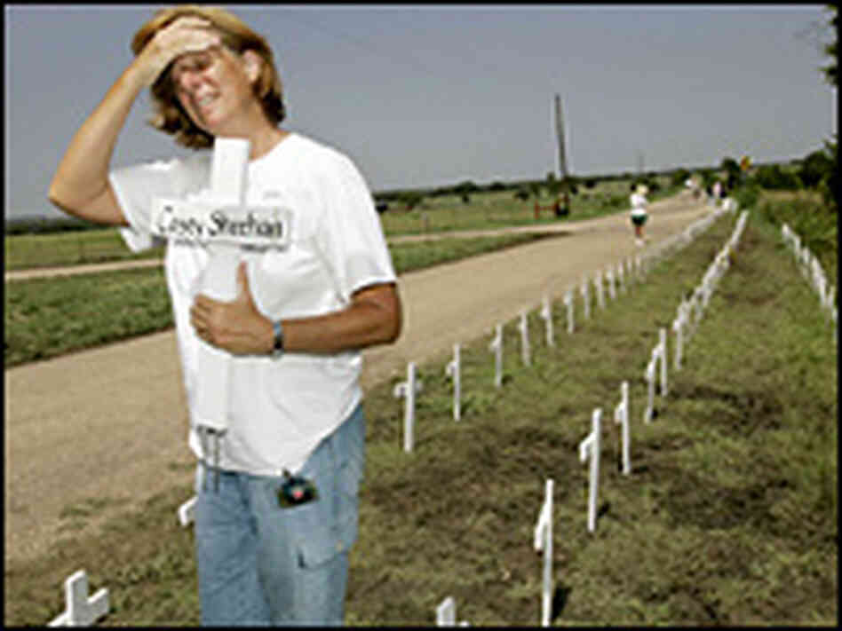 Cindy Sheehan of Vacaville, Calif., who lost her son, Army Spec. Casey Austin Sheehan. Cindy Sheehan of Vacaville, Calif., who lost her son, Army Spec. Casey Austin Sheehan.