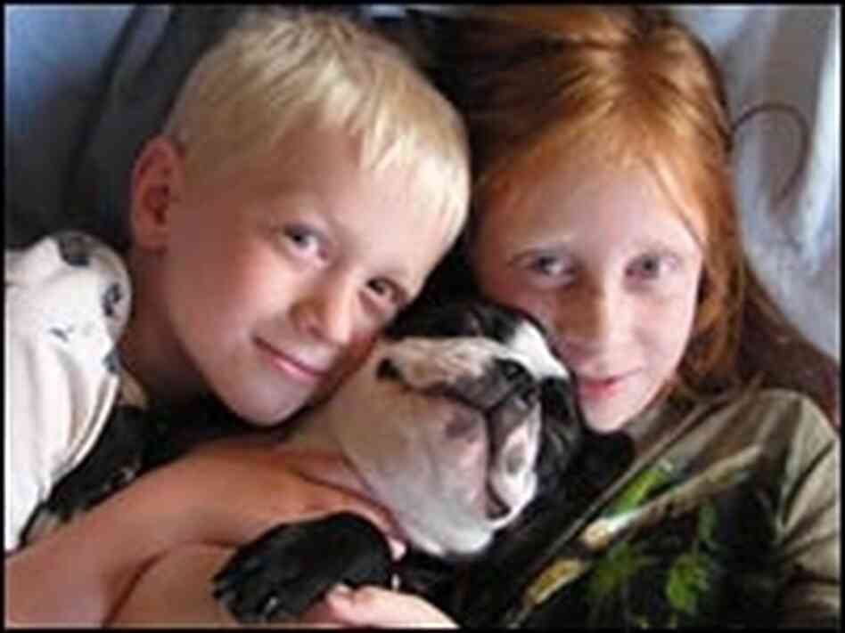 The commentator's kids with Chet Baker, the family's Boston terrier. The commentator's kids with Chet Baker, the family's Boston terrier.