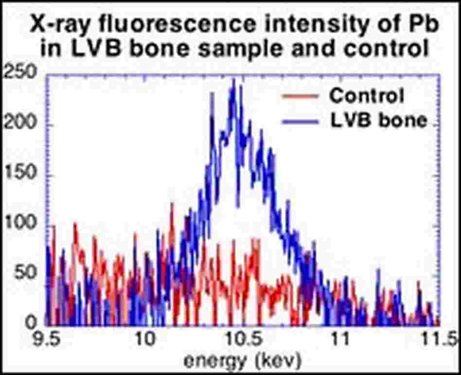 Lead levels chart