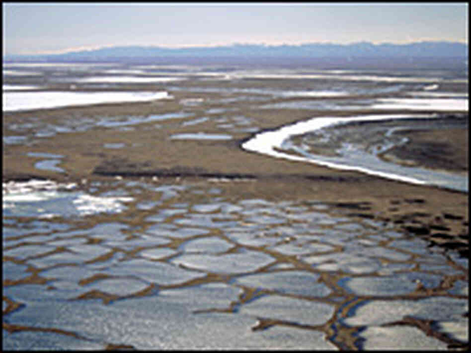 1002 area of the Arctic National Wildlife Refuge 1002 area of the Arctic National Wildlife Refuge