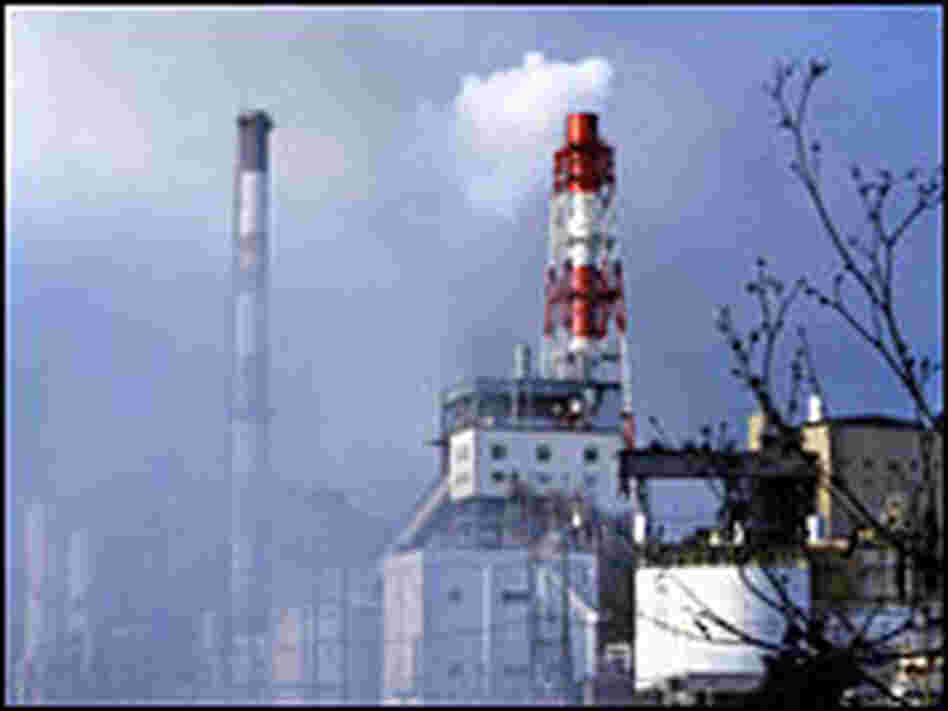 Smoke billows from an oil refinery in Taiwan's southern city of Kaohsiung. Smoke billows from an oil refinery in Taiwan's southern city of Kaohsiung.
