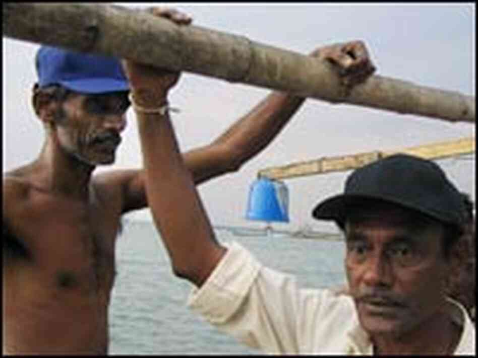 Sri Lankan fisherman Warasenna Mendis and a member of his crew. Sri Lankan fisherman Warasenna Mendis and a member of his crew.