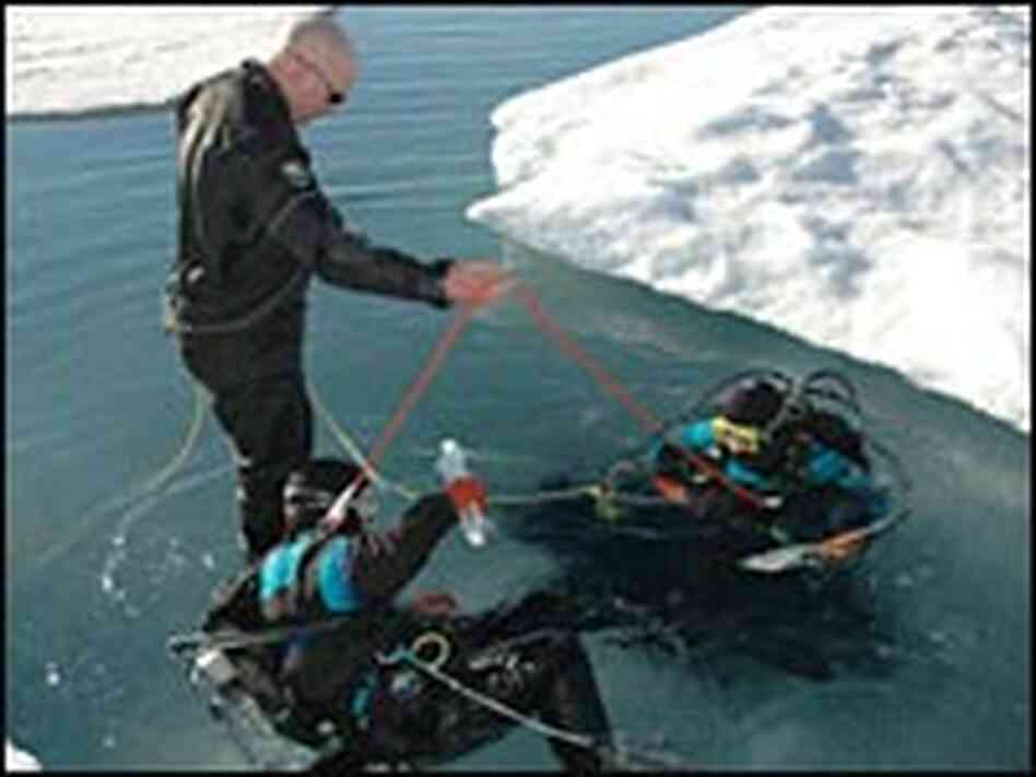 Katrin Iken and Elisabeth Calvert prepare to dive into 30-degree water in the Arctic ocean. Katrin Iken and Elisabeth Calvert prepare to dive into 30-degree water in the Arctic ocean.