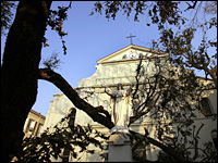 An uprooted live oak lies in front of the historic St. Louis Cathedral.