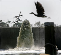 Floodwaters are pumped over the repaired Metairie outfall canal.