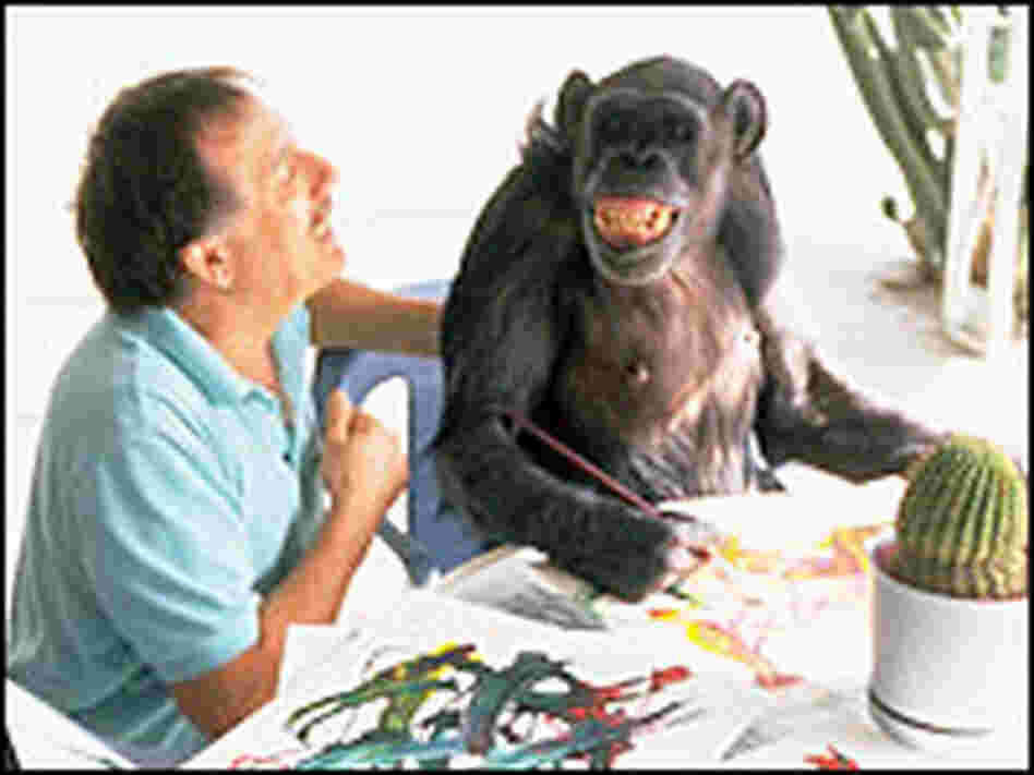 Cheeta, photographed at age 59, paints while Don Westfelt looks on from behind.