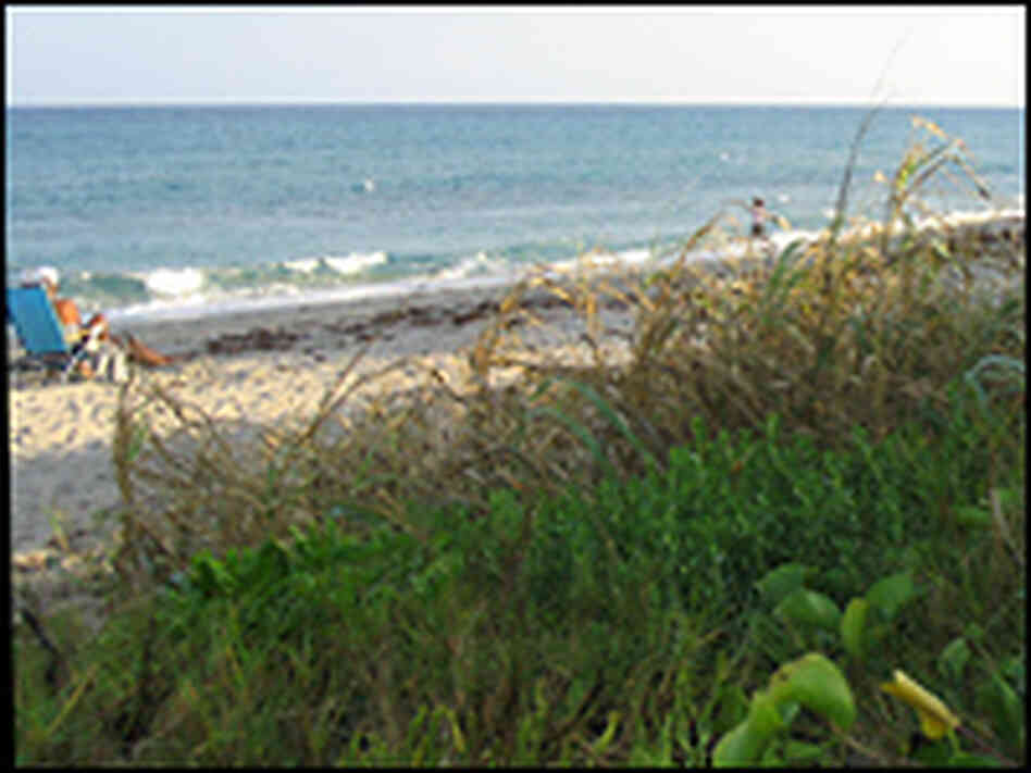 A sunbather takes advantage of the peace and quiet of Briny Breezes. A sunbather takes advantage of the peace and quiet of Briny Breezes.