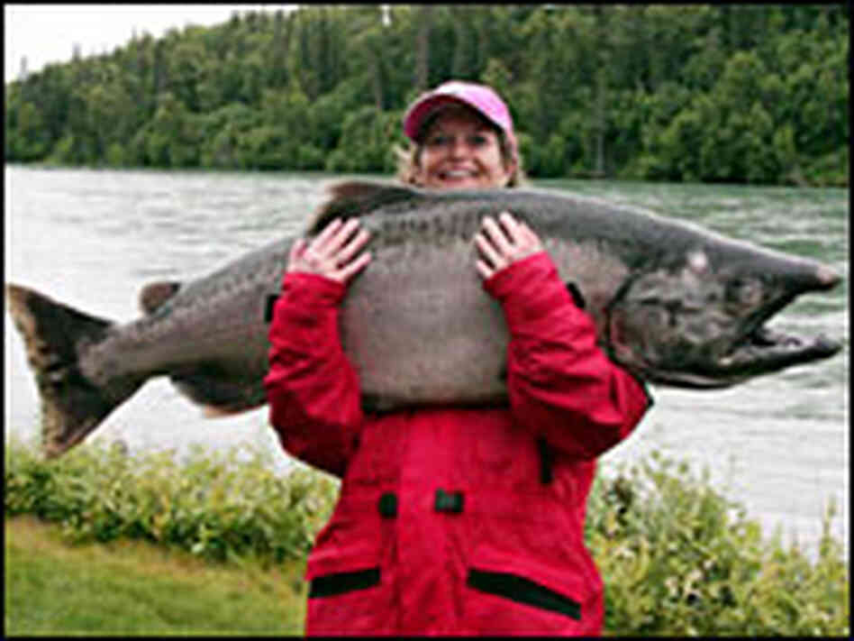 Alaska Sen. Lisa Murkowski holds her winning a catch, a 63-pound salmon. Alaska Sen. Lisa Murkowski holds her winning a catch, a 63-pound salmon.
