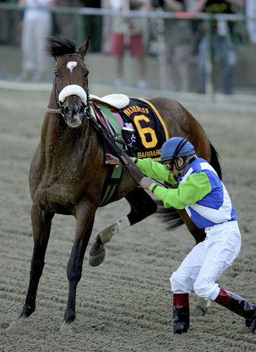 Jockey Edgar Prado tries to control Barbaro after pulling up.