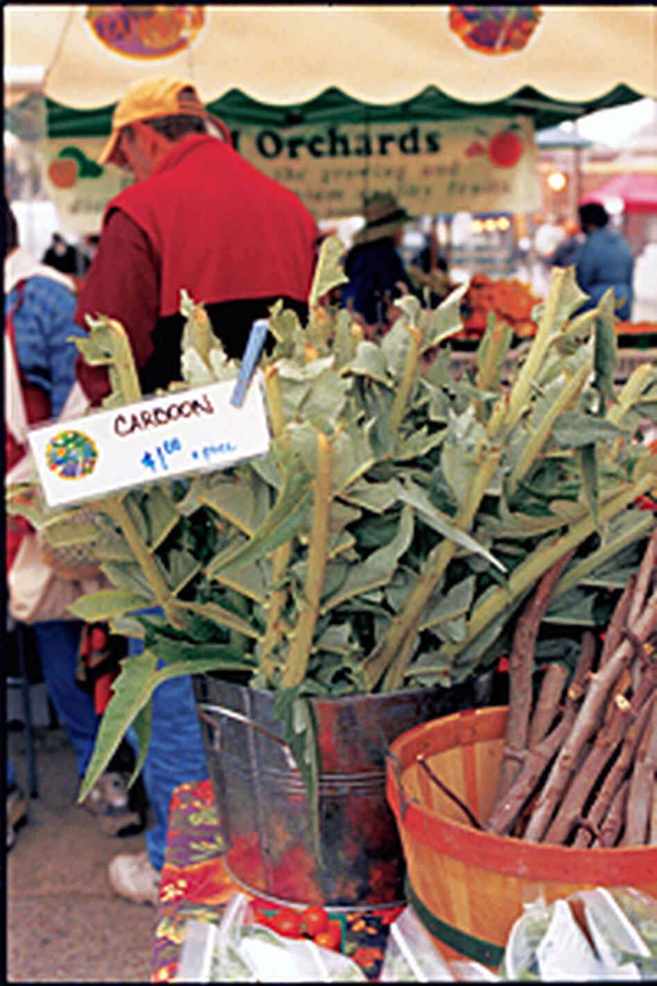 Cardoon Cardoon