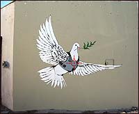 An anonymous group of painters created an image of a white dove wearing a bulletproof vest in the crosshairs of a gun.