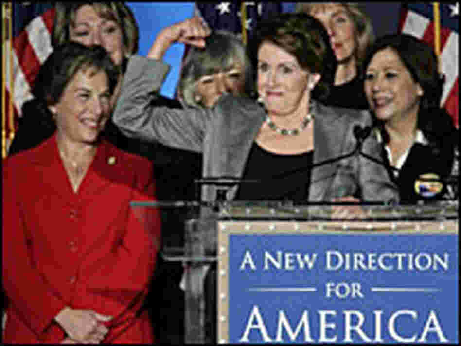 House Speaker Nancy Pelosi House Speaker Nancy Pelosi