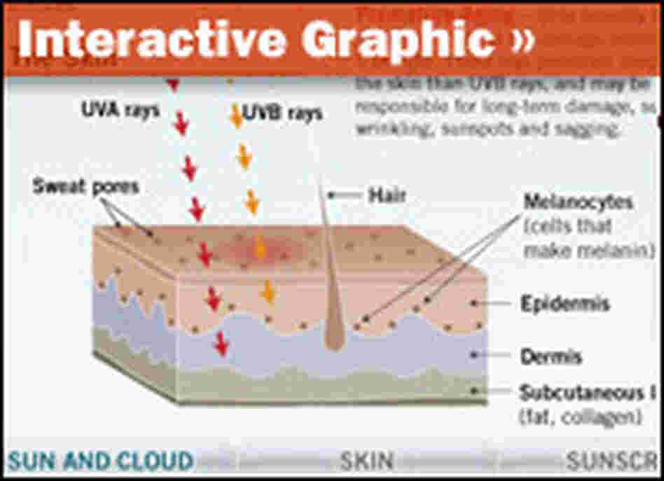 Interactive Graphic Interactive Graphic