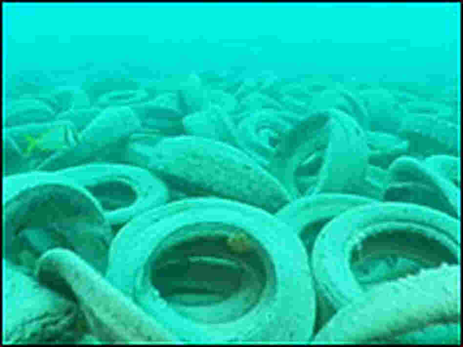 Tires on Ocean Floor