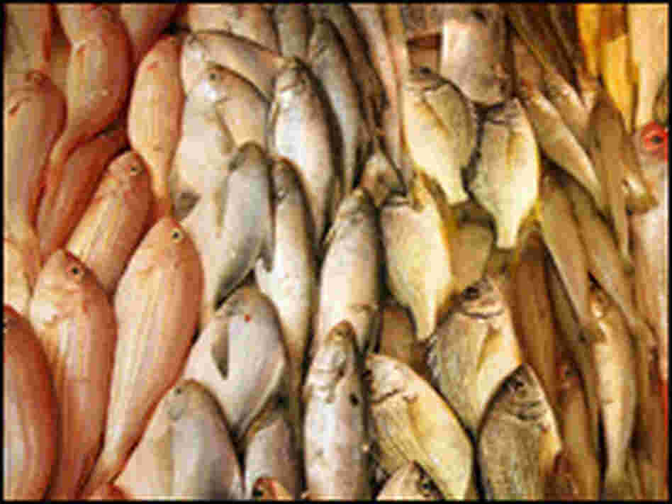 Chinese fish potentially harmful to humans. Chinese fish potentially harmful to humans.