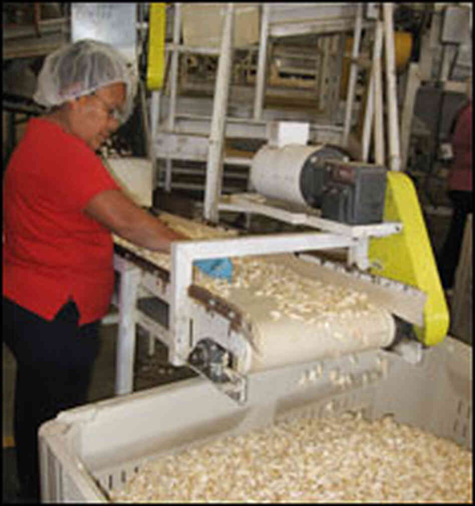 Mechanization has helped California garlic producers cut their labor costs. Mechanization has helped California garlic producers cut their labor costs.