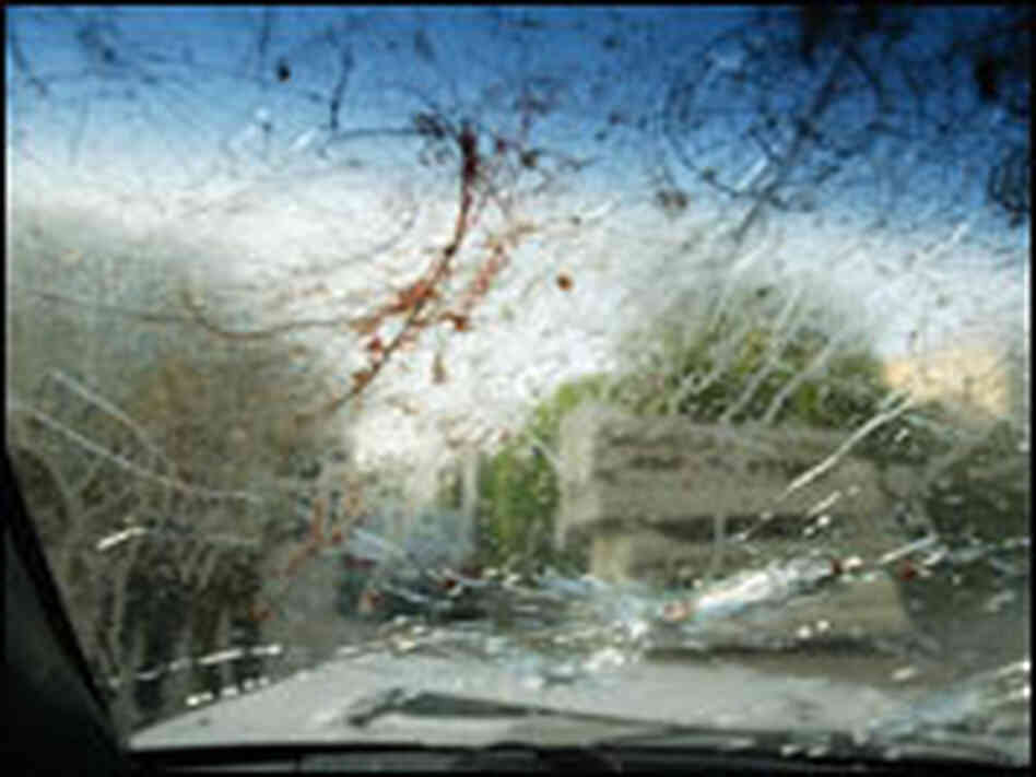 The bullet-riddled windscreen of a car of two women allegedly shot by private security guards.