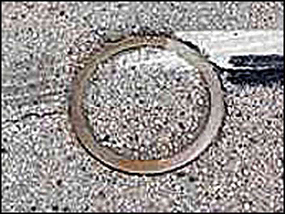 Place in the Road Where a Fragment of Sputnik IV Landed Place in the Road Where a Fragment of Sputnik IV Landed
