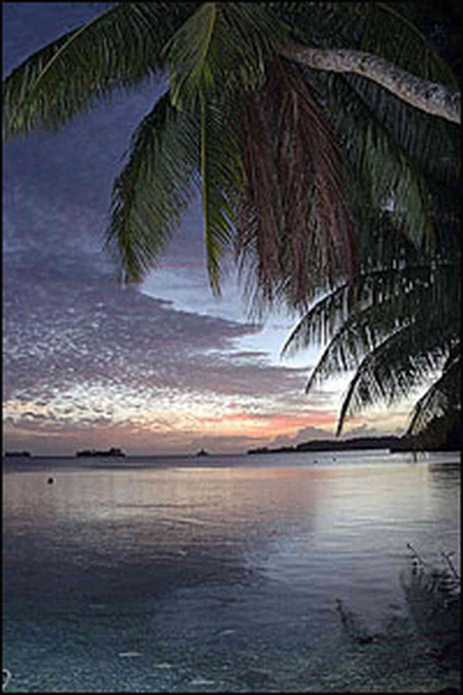 The Palmyra Atoll The Palmyra Atoll