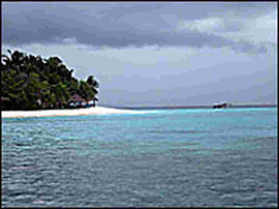 The Maldives