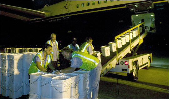 Odyssey Marine Exploration's ground crew unloads more than 17 tons of silver coins.