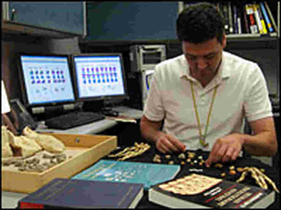 Matthew W. Tocheri, a member of the research team.