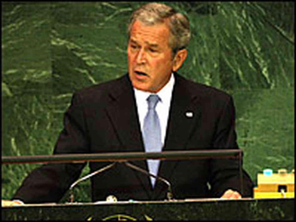 President George Bush addresses the United Nations Tuesday.
