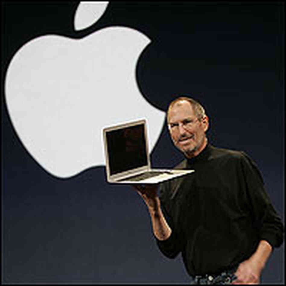 Business professors compare McCain's candidacy to the story of Apple computers.