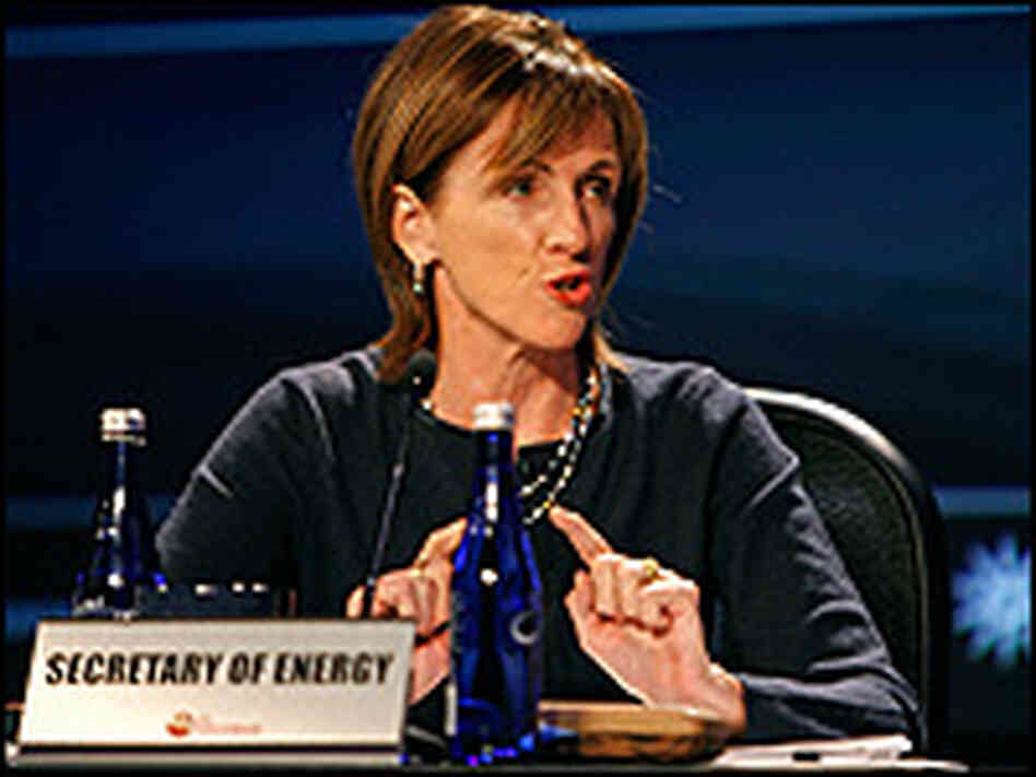Carol Browner at a 2007 conference.