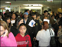 Hundreds of people turned out to bid on 10 purebred puppies at the East Valley Animal Shelter.